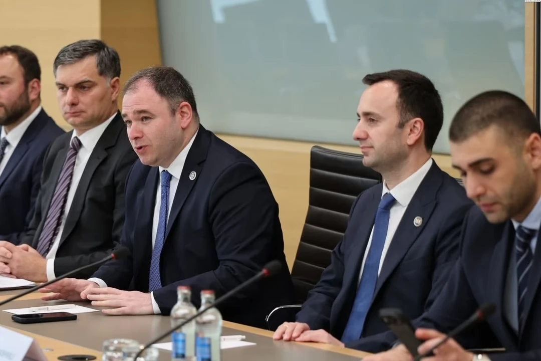 Արտաքին հարաբերությունների հանձնաժողովի նախագահ Նիկոլոզ Սամխարաձեն (ձախից երկրորդը) և եվրոպական ինտեգրման հանձնաժողովի նախագահ Լևան Մախաշվիլին (աջից երկրորդը)՝ Լյուքսեմբուրգում