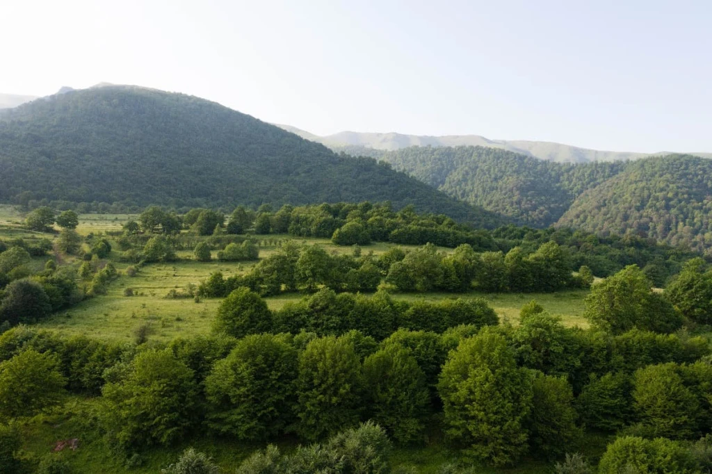 «Դիլիջան» ազգային պարկում հողատարածք կվերադարձվի պետությանը