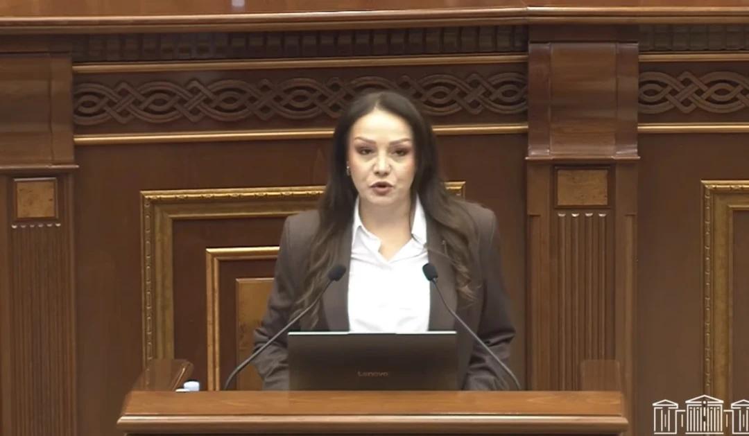 «Ուժեղ Հայաստան» խմբակցության թեկնածուն ընտրվեց ԱԺ հանձնաժողովի նախագահ