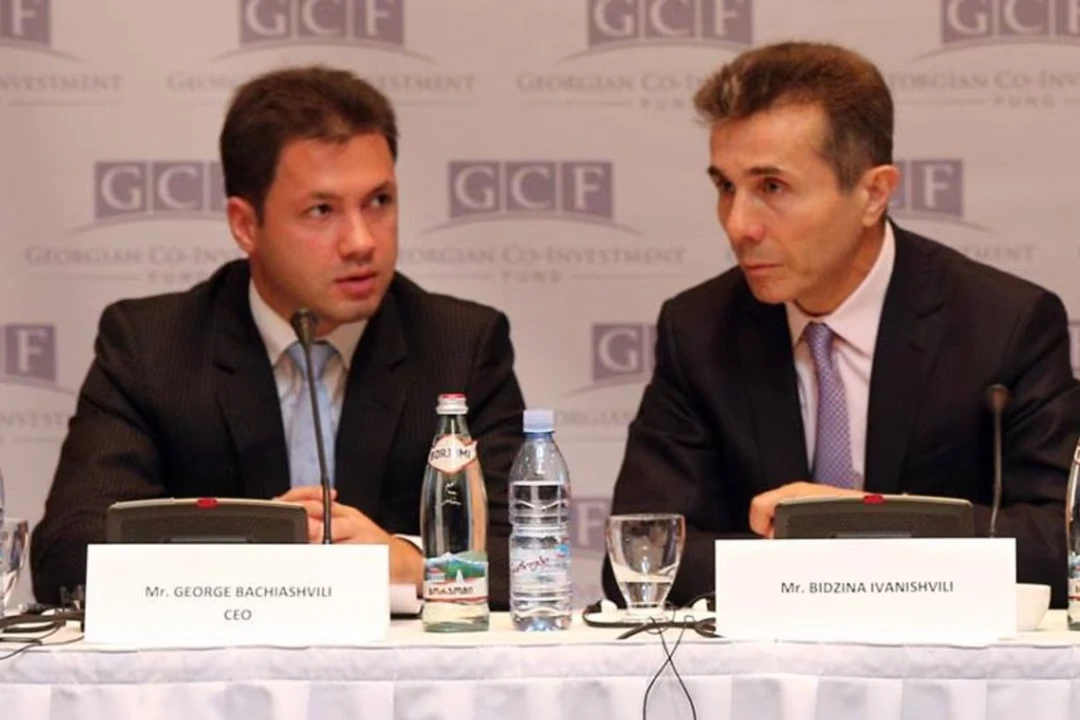 Գիորգի Բաչիաշվիլին և Բիձինա Իվանիշվիլին, 2013