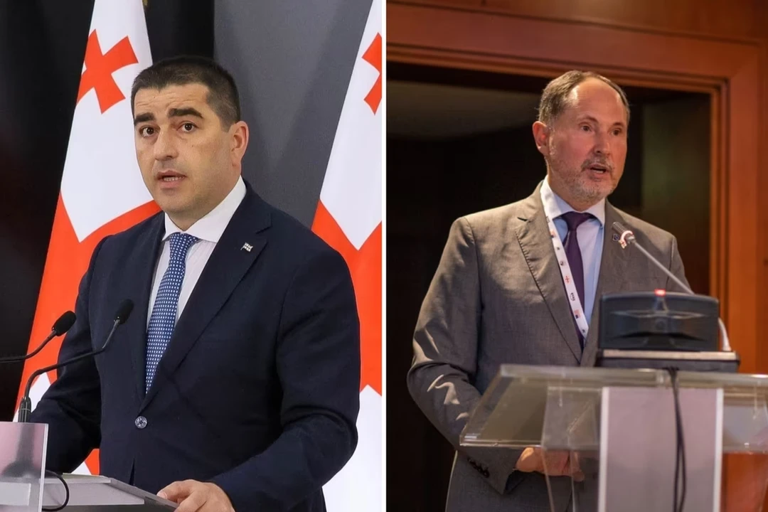 Վրաստանի խորհրդարանի նախագահ Շալվա Պապուաշվիլին՝ ձախից, և Վրաստանում ԵՄ դեսպան Պավել Հերչինսկին
