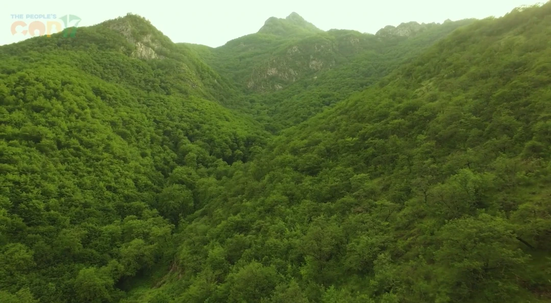 Shikahogh reserve. Screenshot.