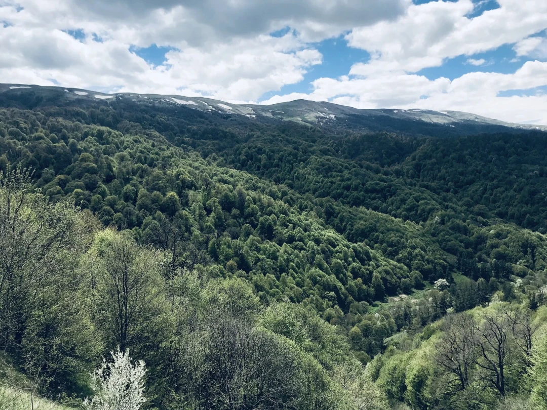 Dilijan National Park. Photo: Wikipedia.