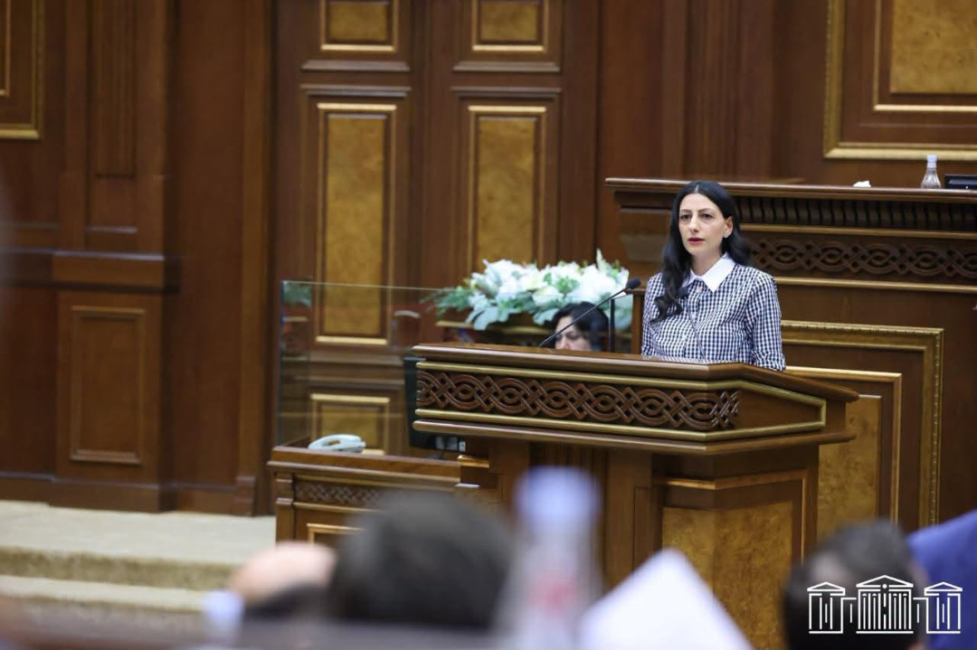 ԱԺ-ում ծեծկռտուքը պետք է պատշաճ քննվի․ ՄԻՊ-ը դատապարտում է բռնությունը