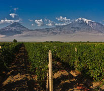 Հայկական կոնյակի մարտահրավերը