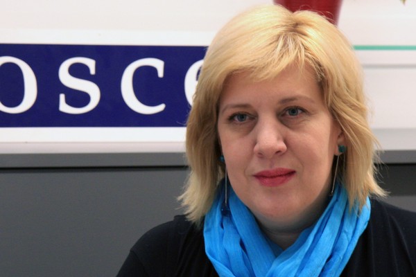 OSCE, EU, US Embassy in Armenia Concerned with Excessive Police Use of Force
