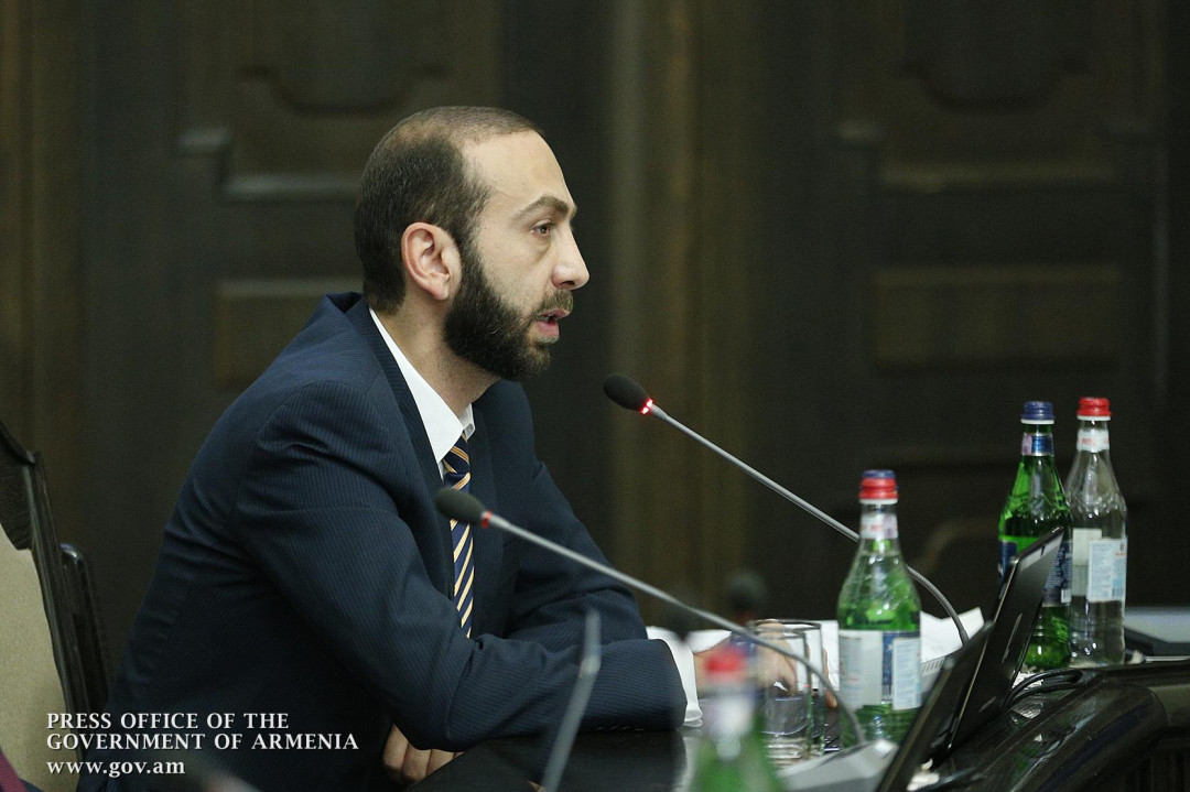 Արարատ Միրզոյանը բարձրաձայնում է երեխաների որդեգրման և օրգանների հնարավոր վաճառքի վտանգների մասին