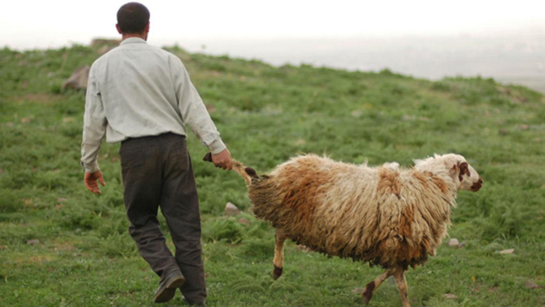 Գյուղացիներ, դուք դատապարտված եք