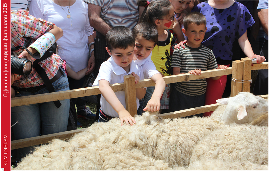 «Ոչխարների խուզման» փառատոն | "Sheep Shearing" Festival