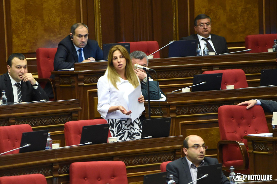 «Երկիր ծիրանի»-ն հրապարակել է ծրագրային դրույթներն ու հռչակագիրը