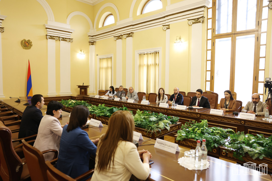 Ալեն Սիմոնյանն ընդունել է Արցախի պատվիրակությանը