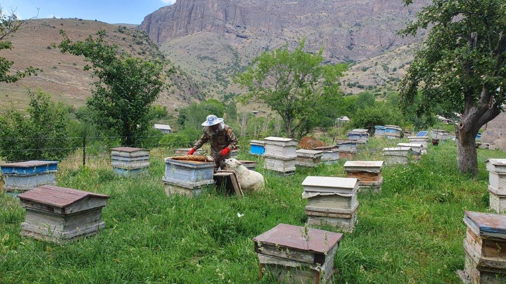 Վիվա-ՄՏՍ. Էկոլոգիական գիտակցության ձևավորում՝ նորագույն տեխնոլոգիաների միջոցով
