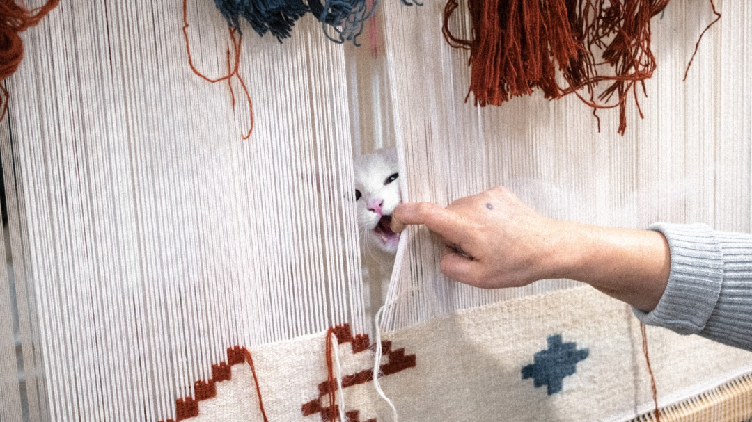 Armenian carpets, four thousand years of history