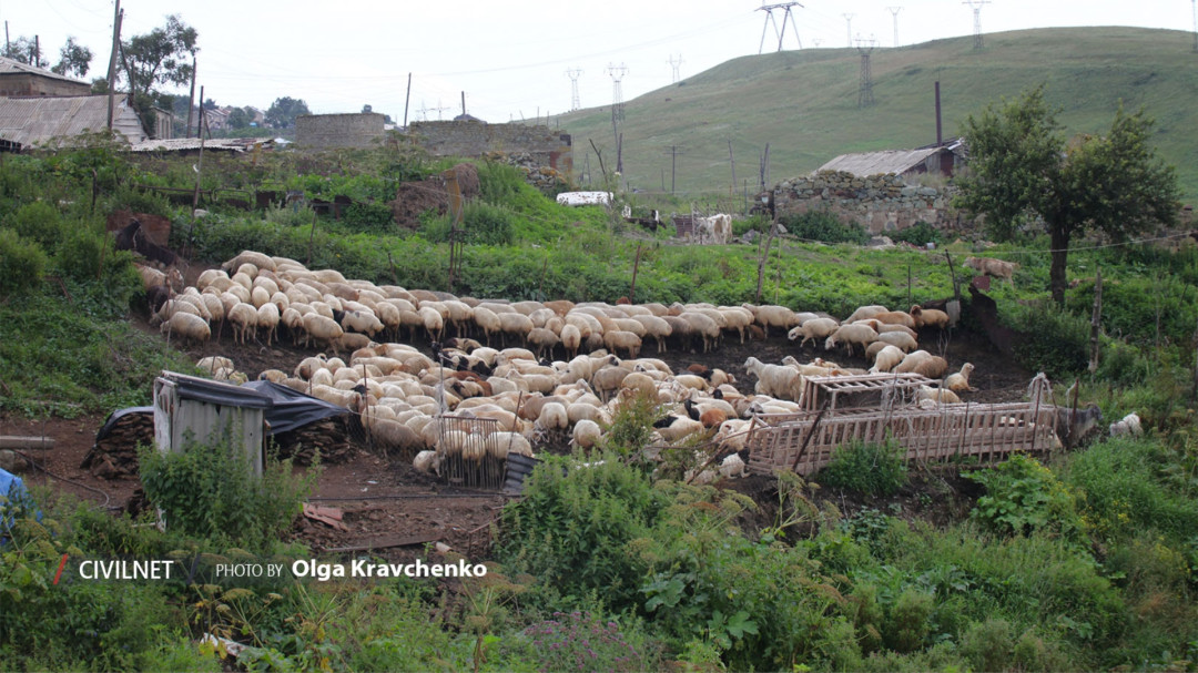 Semyonovka: Exploring Molokan Heritage in Armenian Highlands