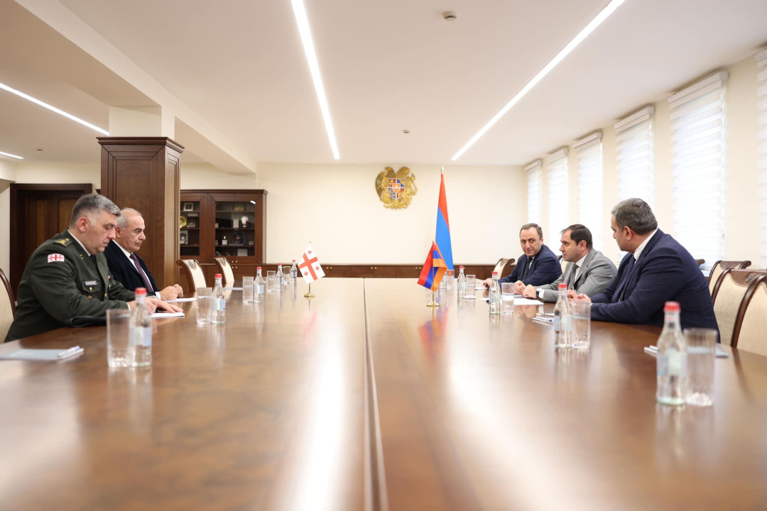Պապիկյանը Վրաստանի դեսպանի հետ քննարկել է պաշտպանության ոլորտում համագործակցությունը