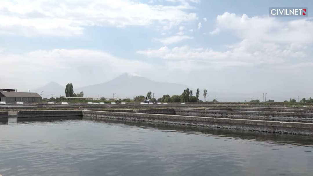 Massive fish farming threatens Armenia's Ararat Valley water system