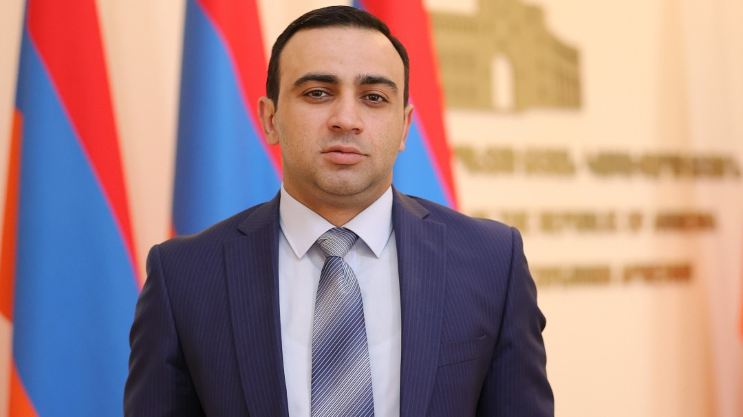 The Thin Line Between Public Service and Politics: Taron Chakhoyan’s Case