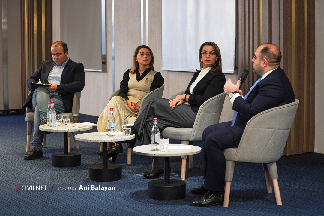 Armenia unlikely to build modular nuclear power plant, says former official