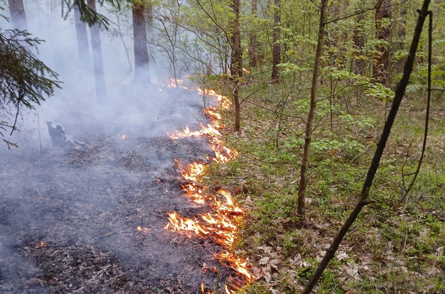 Uncontained wildfires in Karabakh put Armenian heritage at risk