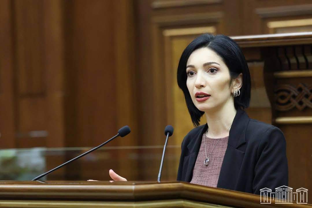 «Դա մտահոգություն չէ, այլ հրապարակային նպատակ». Թագուհի Ղազարյանը՝ «Շողակաթ»-ի մասին