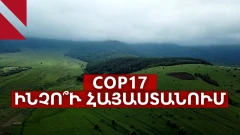Ի՞նչ է COP17-ը և ինչո՞վ է այն կարևոր Հայաստանի համար