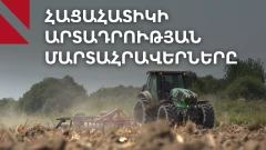 Ցորենի արտադրության կրկնապատկում. ինչ են ասում ֆերմերներն ու պատասխանատուները