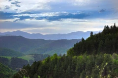 Armenia seeks ‘Yerevan agreement’ at COP17 biodiversity summit