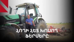 Հողի հետ պետք է խոսես․ արցախցի ֆերմերի ռեկորդային բերքն Արմավիրում