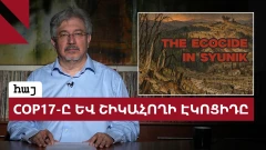 Շիկահողի անտառների ոչնչացումը և Երևանի լռությունը