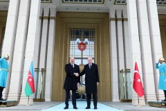 2012-ից սկսած՝ Ալիևն առաջին անգամ չի մասնակցել Թյուրքական պետությունների կազմակերպության գագաթնաժողովին