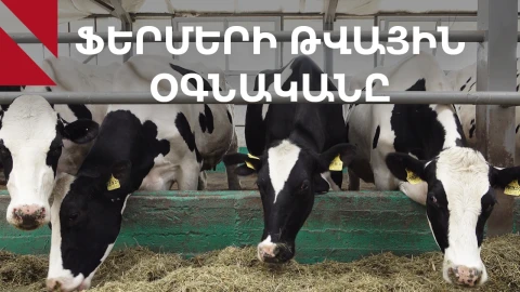 «Հովիվը» կօգնի ավելացնել ֆերմայի եկամուտը