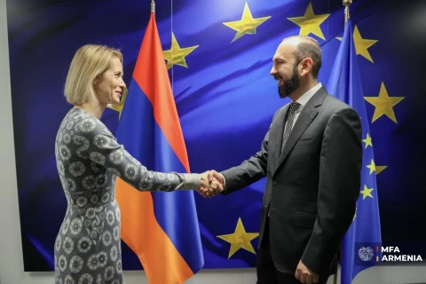Միրզոյանն ու Կալասը քննարկել են ժողովրդավարական դիմակայունության ամրապնդմանն ուղղված նախաձեռնությունները