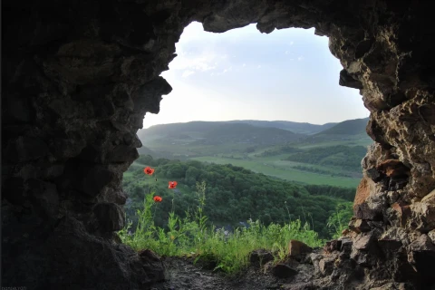 Armenia debunks claims of border village handover to Georgia