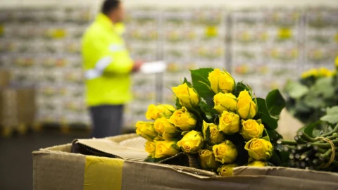 Какая армянская продукция попала под запрет в России в преддверии парламентских выборов