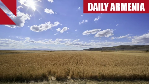 Armenia orders new push to boost domestic wheat production