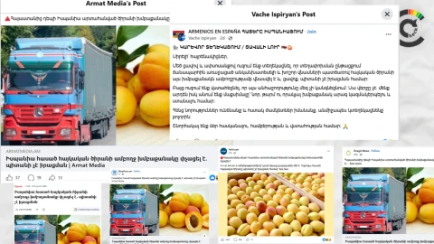 «Իսպանիա հասած փչացած ծիրանի» պատմությունը․ բեռնատարը տեղ չի հասել, աղբյուրը հակասում է ինքն իրեն