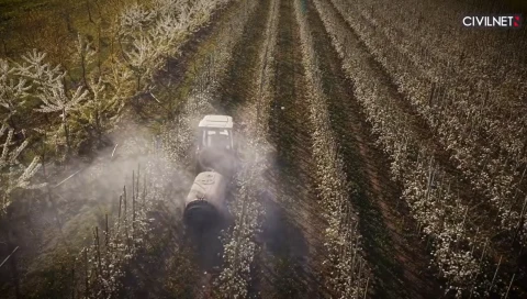 Gaps in pesticide oversight raise questions about safety of Armenian produce
