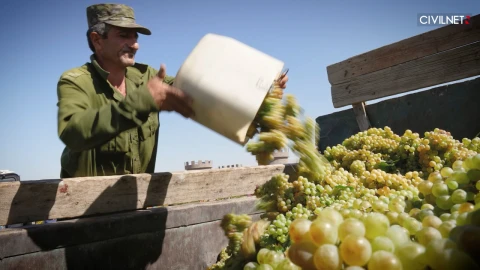 World Bank: Armenia’s economy cools amid uncertainties