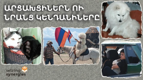 «Ներողություն, որ չեմ կարողանում վերցնել»․ արցախցիների ու նրանց ընտանի կենդանիների գաղթի պատմությունը