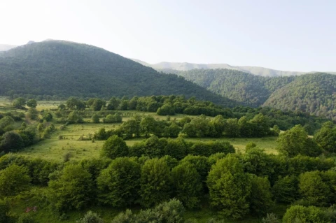 «Դիլիջան» ազգային պարկում հողատարածք կվերադարձվի պետությանը