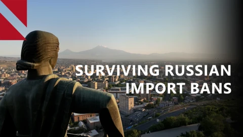 Obstacles and Strategies In the Face of Russian Import Bans