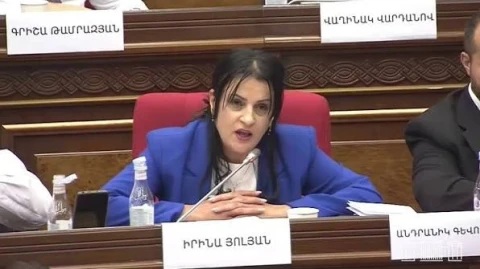 Իրինա Յոլյանը չընտրվեց ԱԺ հանձնաժողովի նախագահ