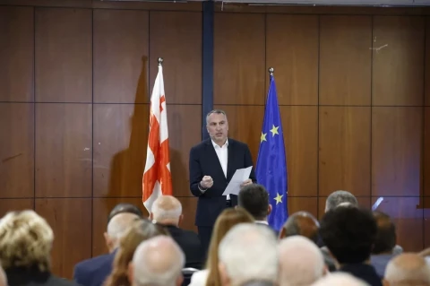 Վրաստանը դիմումի «թերությունների» պատճառով չի գրանցել նոր քաղաքական կուսակցությանը