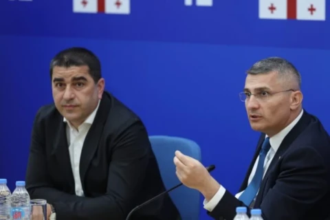 Վրաստանի կառավարությունը վերացնում է Մդինարաձեի համար ստեղծված երկու պաշտոնները
