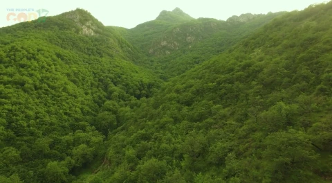 Raising Azerbaijani damage in Armenia’s Shikahogh reserve at COP17 would breach presidency principles, minister says