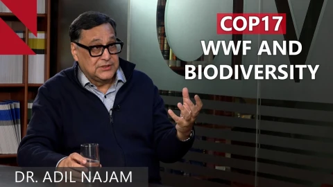 COP17 Armenia: Big Promises, but Will Countries Deliver?