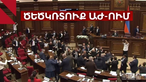 Ծեծկռտուք՝ ԱԺ ում, պատգամավորները հարվածել են միմյանց ոտքերով և բռունցքներով