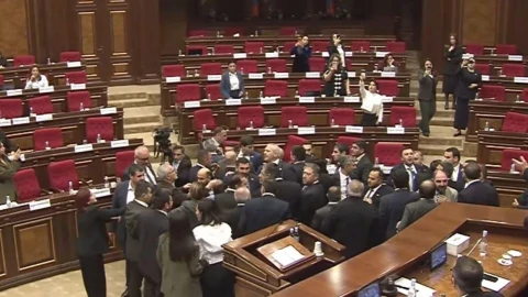 What triggered the major brawl in Armenia’s parliament?