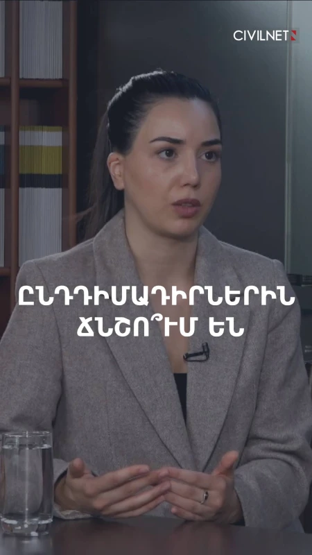 Ընդդիմադիր ուժերի նկատմամբ ճնշումների մասին ահազանգերը հիմնավոր են. Մարիամ Հովեյան