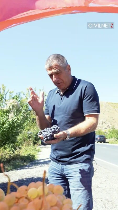 Reviving Armenian Varietals #theblacklable